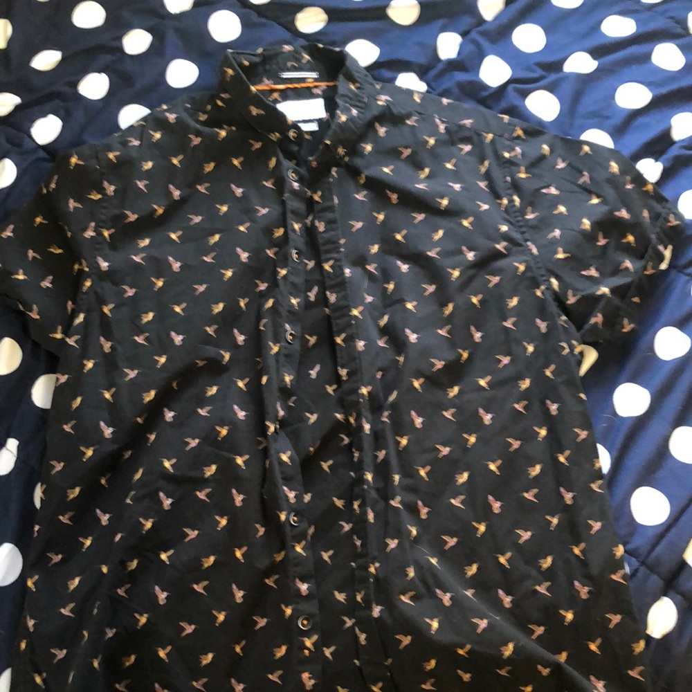 Hummingbird Collar Buttondown